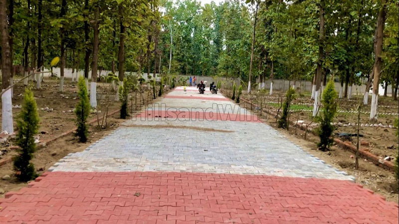₹22 Lac | 200 gaj residential plot for sale in ganeshpur dehradun