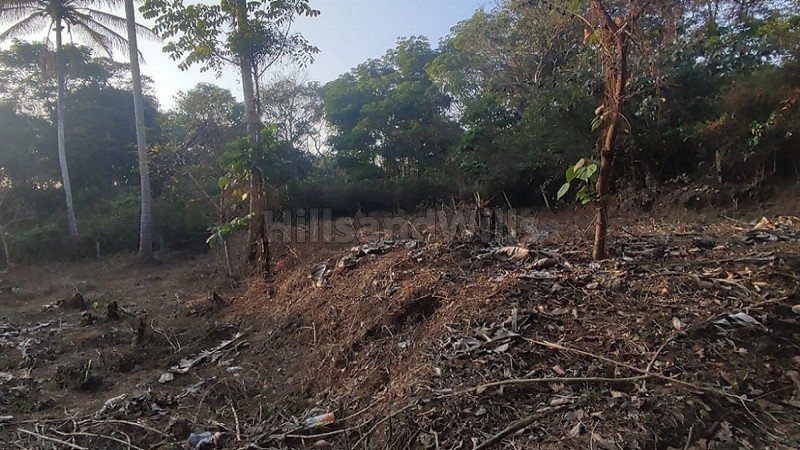 ₹7 Lac | 14 cents residential plot for sale  in cheengode wayanad