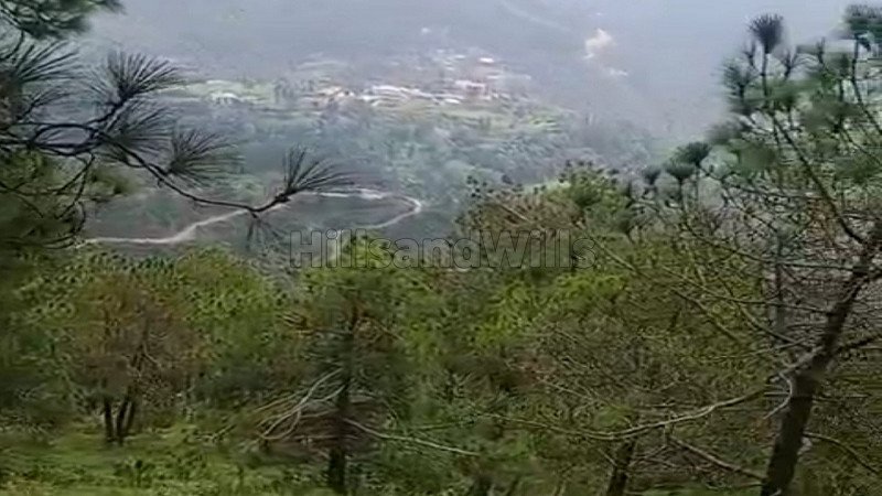 ₹55 Lac | 26 bigha agriculture land for sale  in shoghi shimla