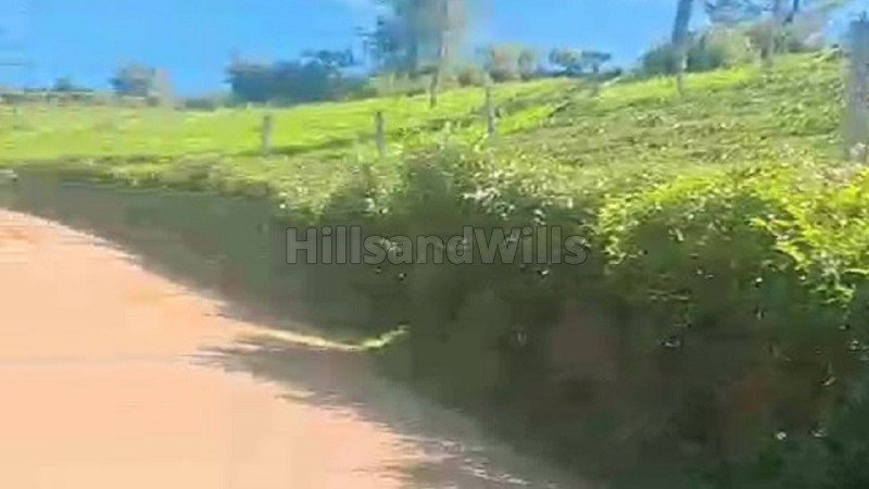 ₹2.12 Cr&nbsp;|&nbsp;1.25 acres  tea garden land for sale  in kanacombai kotagiri