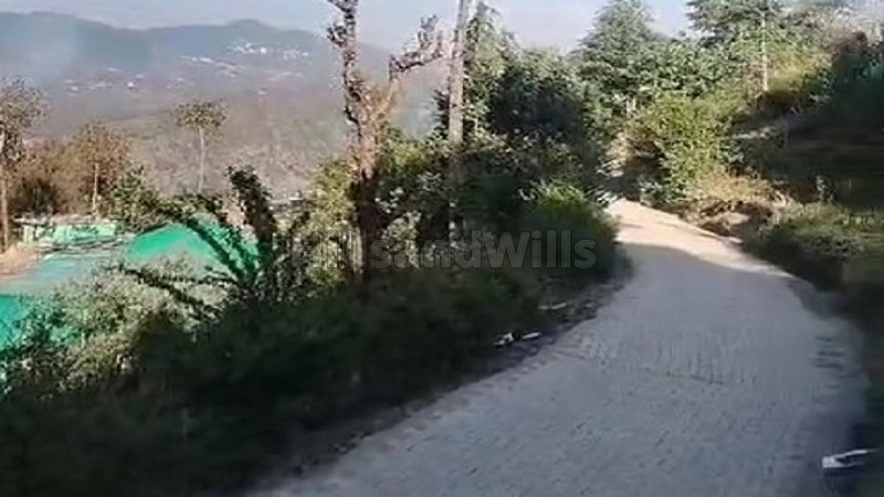 10 biswa agriculture land for sale in solan