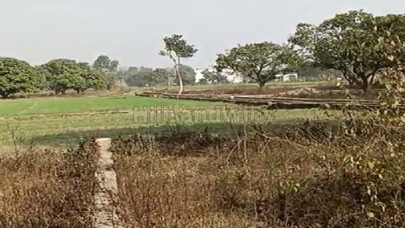₹32 Lac | 320 gaj residential plot for sale  in selaqui dehradun