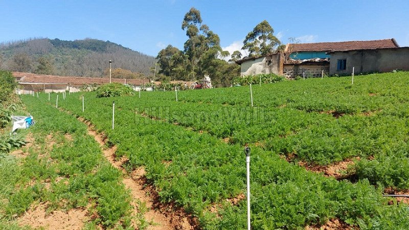 ₹3 Cr | 33 cents agriculture land for sale  in muthorai palada ooty