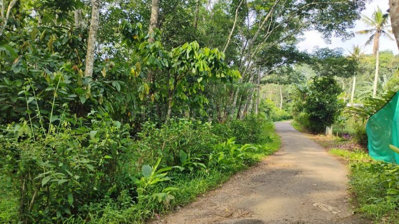 ₹1.90 Cr | 5 acres agriculture land for sale  in anachal munnar