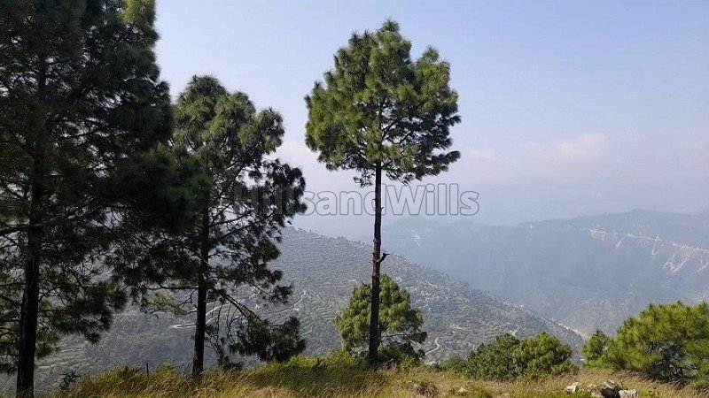 ₹80 Lac | 4 bigha residential plot for sale  in jihar almora near nainital