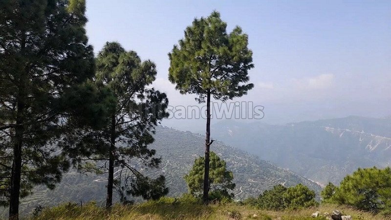 ₹80 Lac | 4 bigha residential plot for sale in jihar almora near nainital