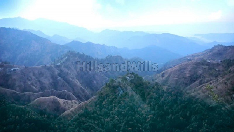 ₹12 Cr | 60 nali commerical land for sale  in jim corbett ramnagar nainital
