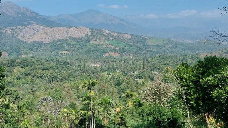 ₹75 Lac | 3 acres agriculture land for sale  in oddappati agali kerala