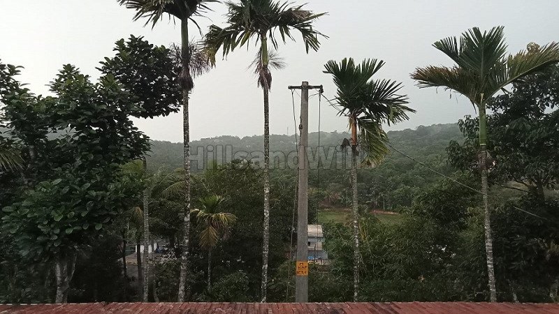 ₹1.18 Cr | 1.25 acres residential plot for sale  in mananthavady wayanad