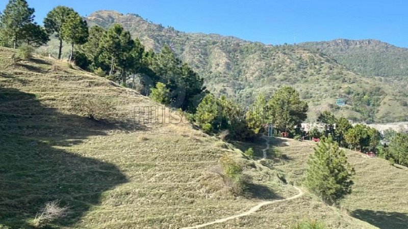 ₹56 Lac | 1bhk apartment for sale  in mall road solan
