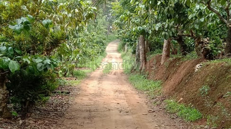₹75 Lac | 150 cents residential plot for sale in kenichira wayanad