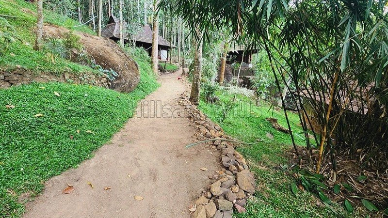 ₹6 Cr | 14bhk farm house for sale  in sulthan bathery wayanad
