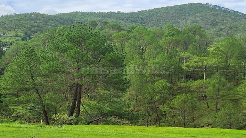 ₹22 Lac - 45 Lac | 240 sq.yards - 500 sq.yards residential plot for sale  in almora near nainital