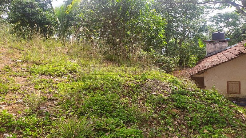 ₹20 Lac | 3bhk farm house for sale  in mananthavady wayanad