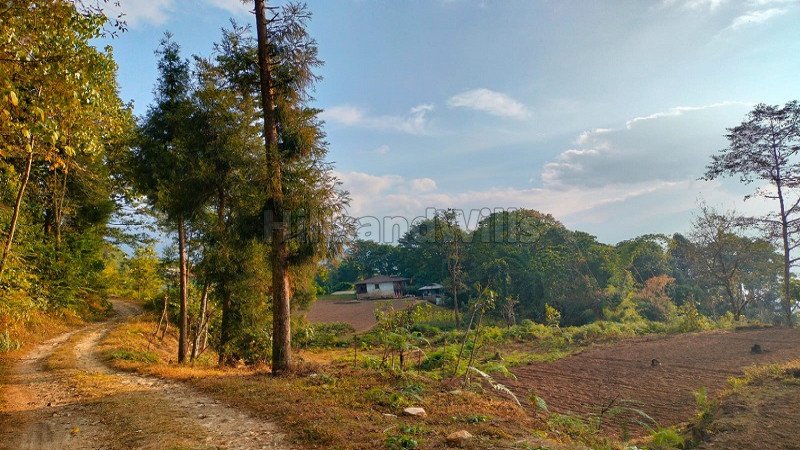 ₹3.50 Cr | 3.5 acres agriculture land for sale  in kalimpong darjeeling