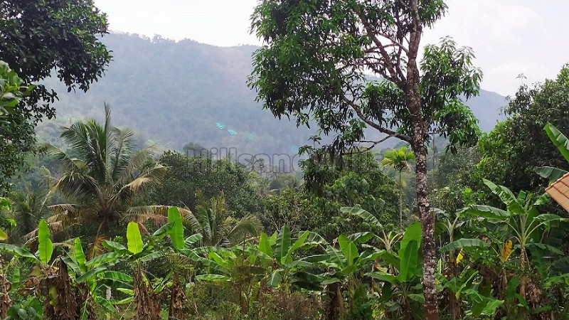 ₹35 Lac | 70 cents residential plot for sale in calvary mount idukki