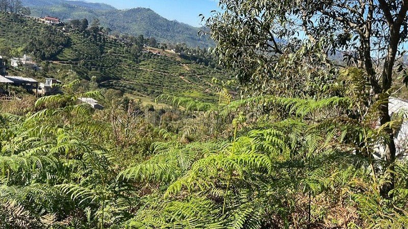 ₹22 Lac | 2326 sq.ft. residential plot for sale  in selas valley coonoor
