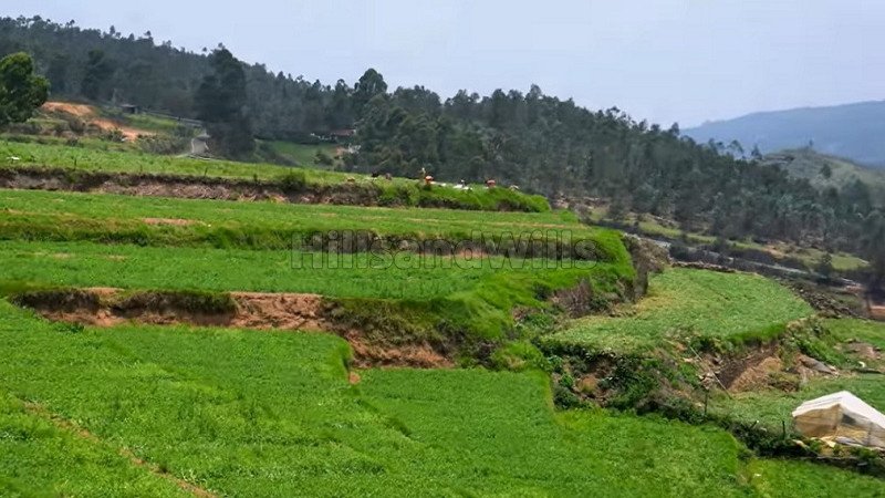 ₹35 Lac | 3 acres agriculture land for sale in kodaikanal