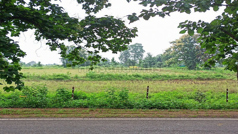 ₹3.12 Cr | 10000 sq.meter residential plot for sale in singanama village pachmarhi