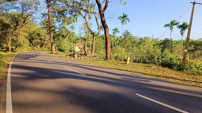 ₹75 Lac | 110.5 cents residential plot for sale  in bathery wayanad