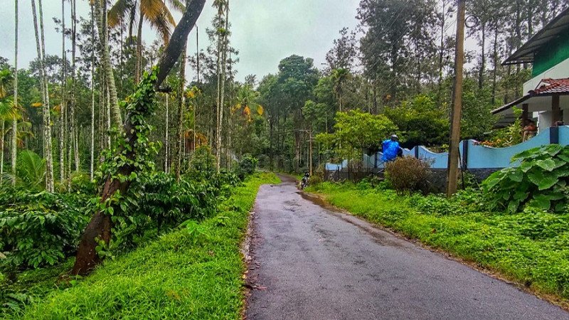 ₹25 Lac | 50 cents residential plot for sale  in pullumala wayanad