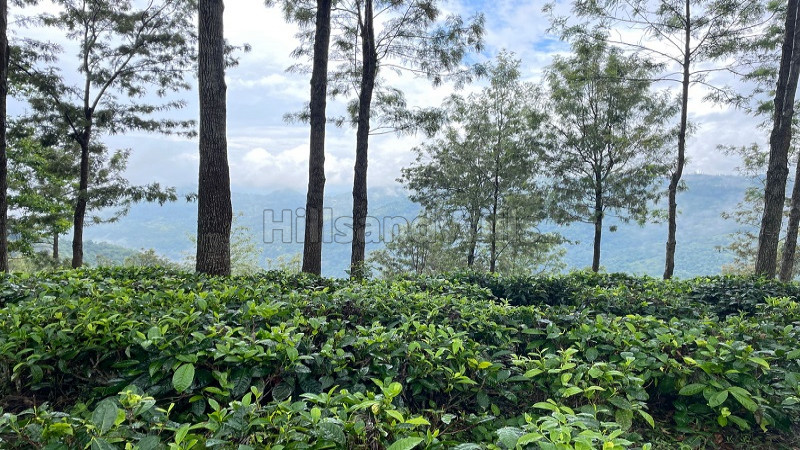 ₹1.15 Cr | 2.5 ares Agriculture Land For Sale in Kotagiri