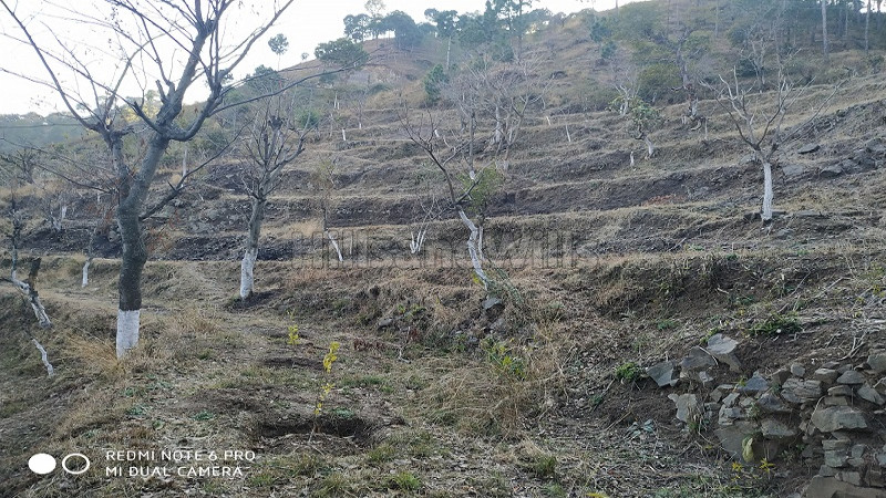 ₹1.20 Cr | 9 bigha Agriculture Land For Sale in Kasauli Solan