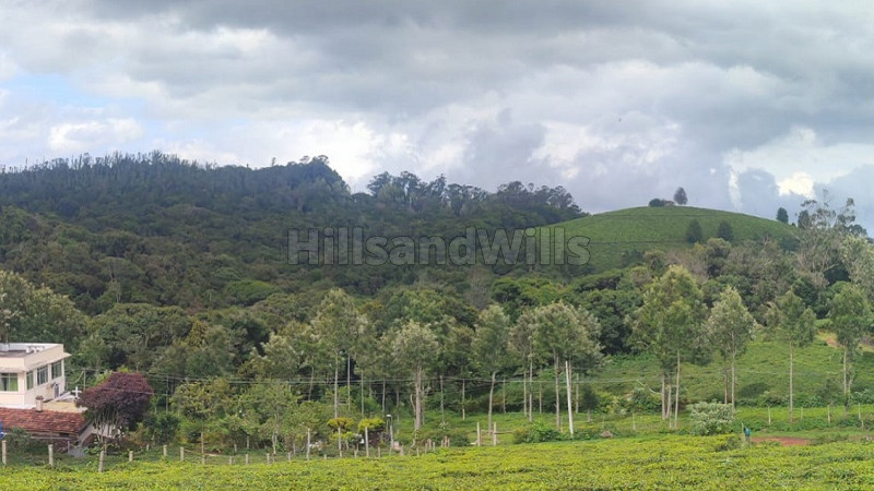 ₹2 Cr | 40 cents residential plot for sale in club road to longwood road kotagiri
