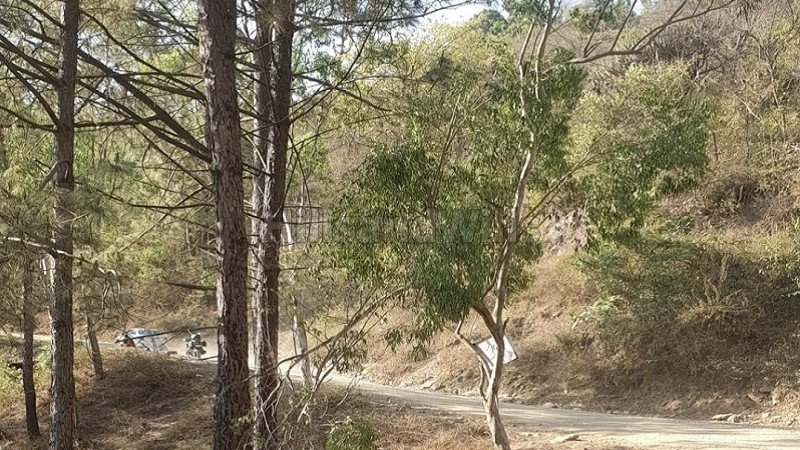 ₹1.90 Cr | 2.14 biswa agriculture land for sale in banalgi solan