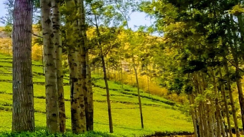 ₹16.80 Cr | 28 acres agriculture land for sale in kotagiri