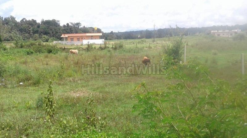 ₹1 Cr | 30 cents Residential Plot For Sale in Bittangala, Virajpet Coorg