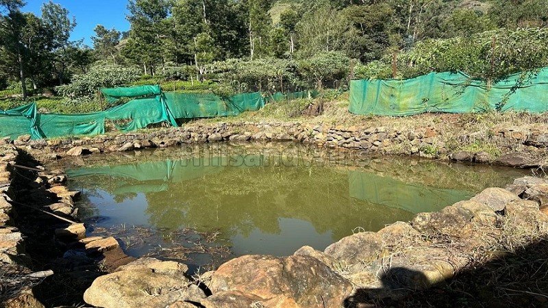 ₹12 Cr | 3 acres land suitable for resort for sale  in ketti ooty