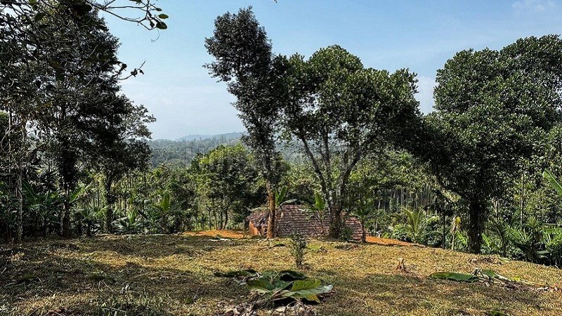 ₹75 Lac | 3 acres agriculture land for sale  in oddappati agali kerala
