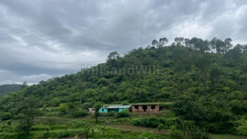 ₹3 Cr | 21 bigha agriculture land for sale  in dolanji solan