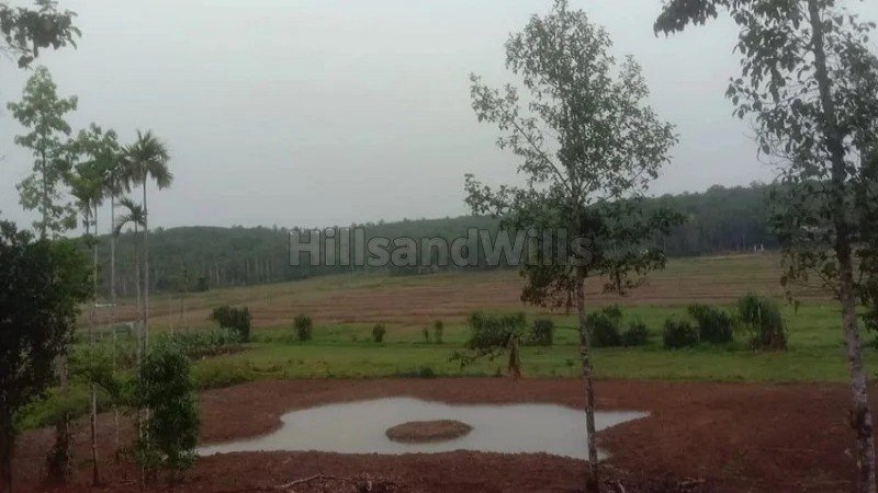 ₹60 Lac | 1 acres residential plot for sale  in kariambadi wayanad