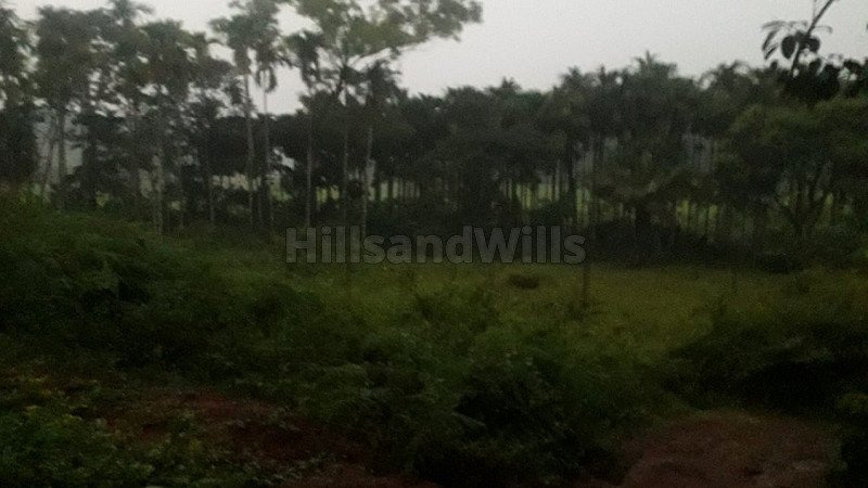 ₹60 Lac | 13066 sq.ft. residential plot for sale  in napoklu coorg