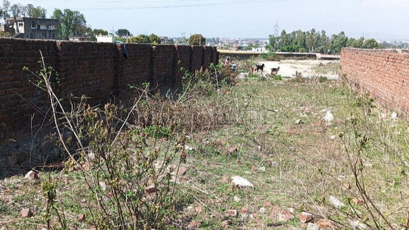 ₹46.50 Lac | 1600 sq.ft. commerical land for sale  in shimla bypass road dehradun