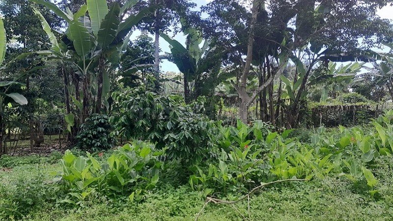 ₹20 Lac | 1650 sq.ft. residential plot for sale  in mangalam kombu, thandikudi, kodaikanal