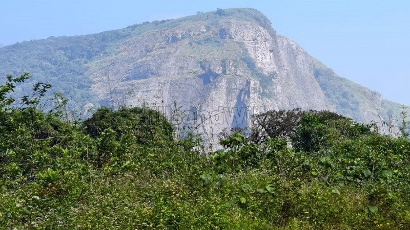 ₹4 Cr | 7bhk  british style bungalow for sale  in poopara munnar