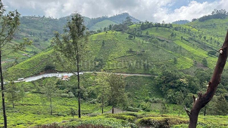 45 cents agriculture land for sale in bengal mattam ooty