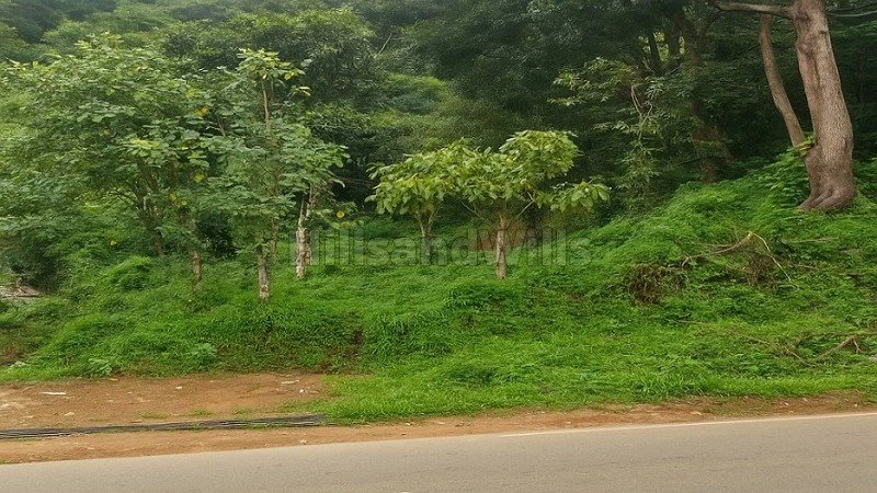 ₹1.10 Cr&nbsp;|&nbsp;20 cents residential plot for sale  in chithirapuram munnar