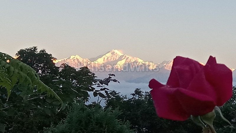 ₹1.20 Cr | 20000 sq.ft. agriculture land for sale  in kalimpong darjeeling