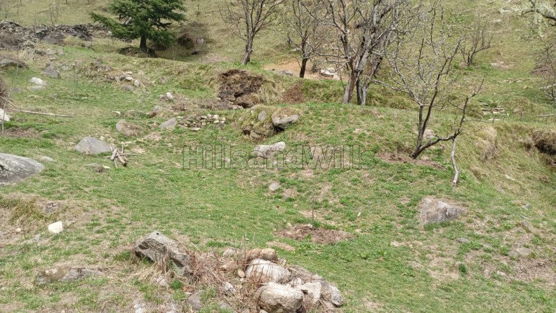 ₹70 Lac | 10 biswa agriculture land for sale  in manali kullu-manali