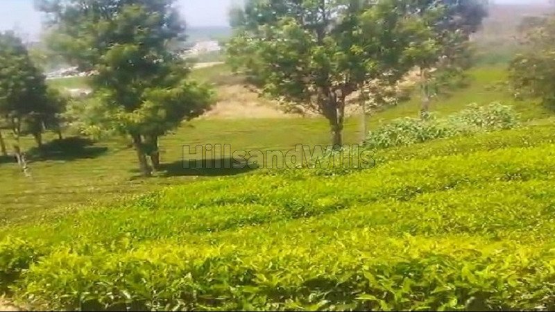 ₹97.50 Lac | 65 cents residential plot for sale  in ooty