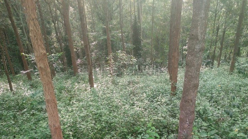 ₹75.73 Lac | 11652 sq.ft. agriculture land for sale  in semmanatham yercaud