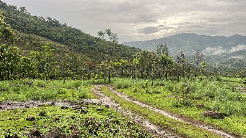 ₹33 Lac | 1bhk farm house for sale  in pethuparai kodaikanal