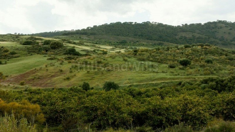 ₹1.40 Cr | 14 acres agriculture land for sale  in thalamokkai kotagiri