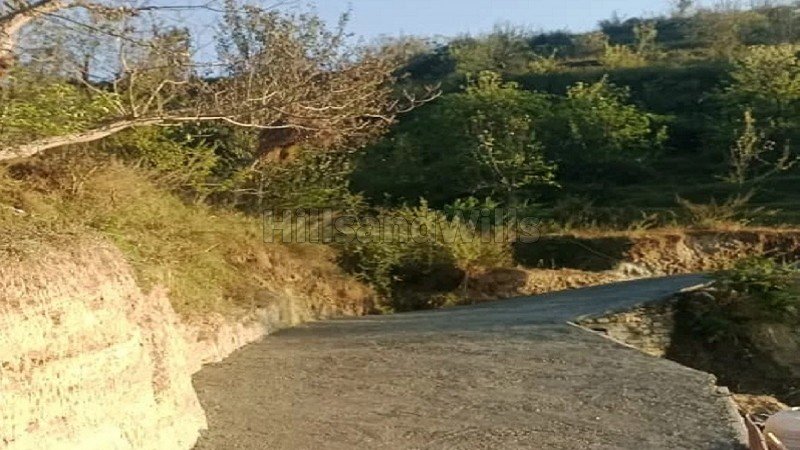 ₹8 Lac&nbsp;|&nbsp;240 gaj residential plot for sale  near kosi market, almora district uttarakhand