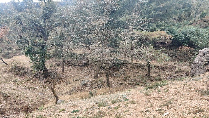 ₹4.51 Cr | 3500 sq.yards residential plot for sale  in hathipao road mussoorie