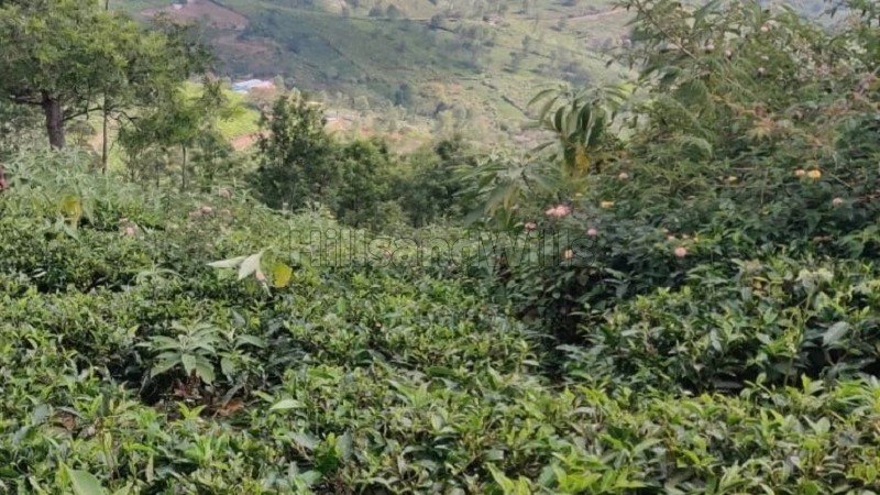 ₹5 Lac | 10 cents  land for sale  in naduhatty kotagiri